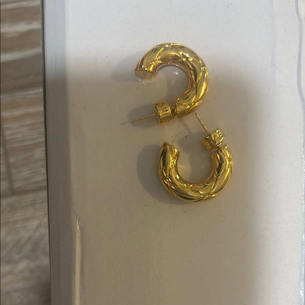Gold Hoop Earrings